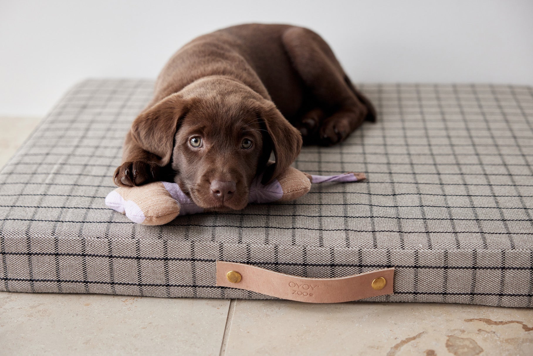 Coussin pour chien Milo Grid | Petit format | Coton biologique