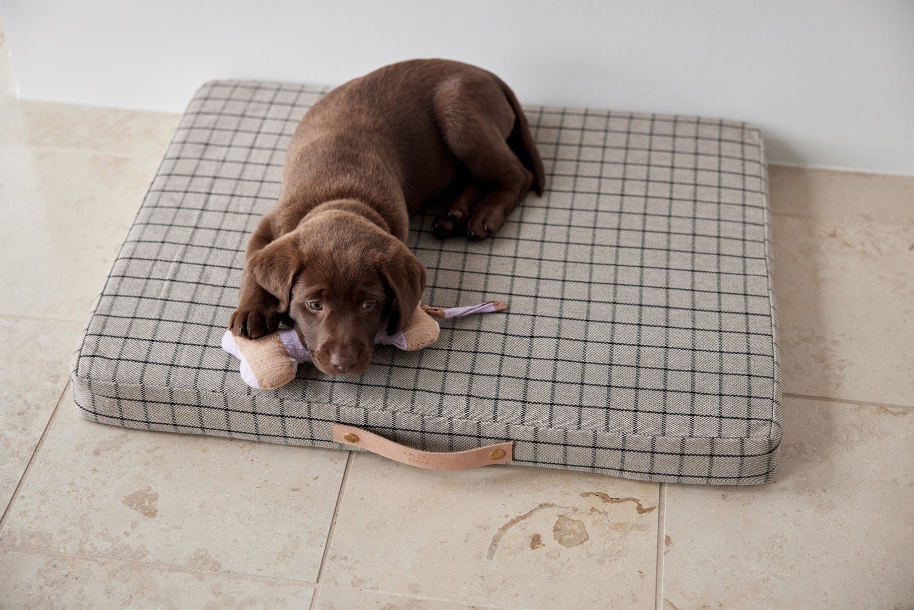 Coussin pour chien Milo Grid | Petit format | Coton biologique