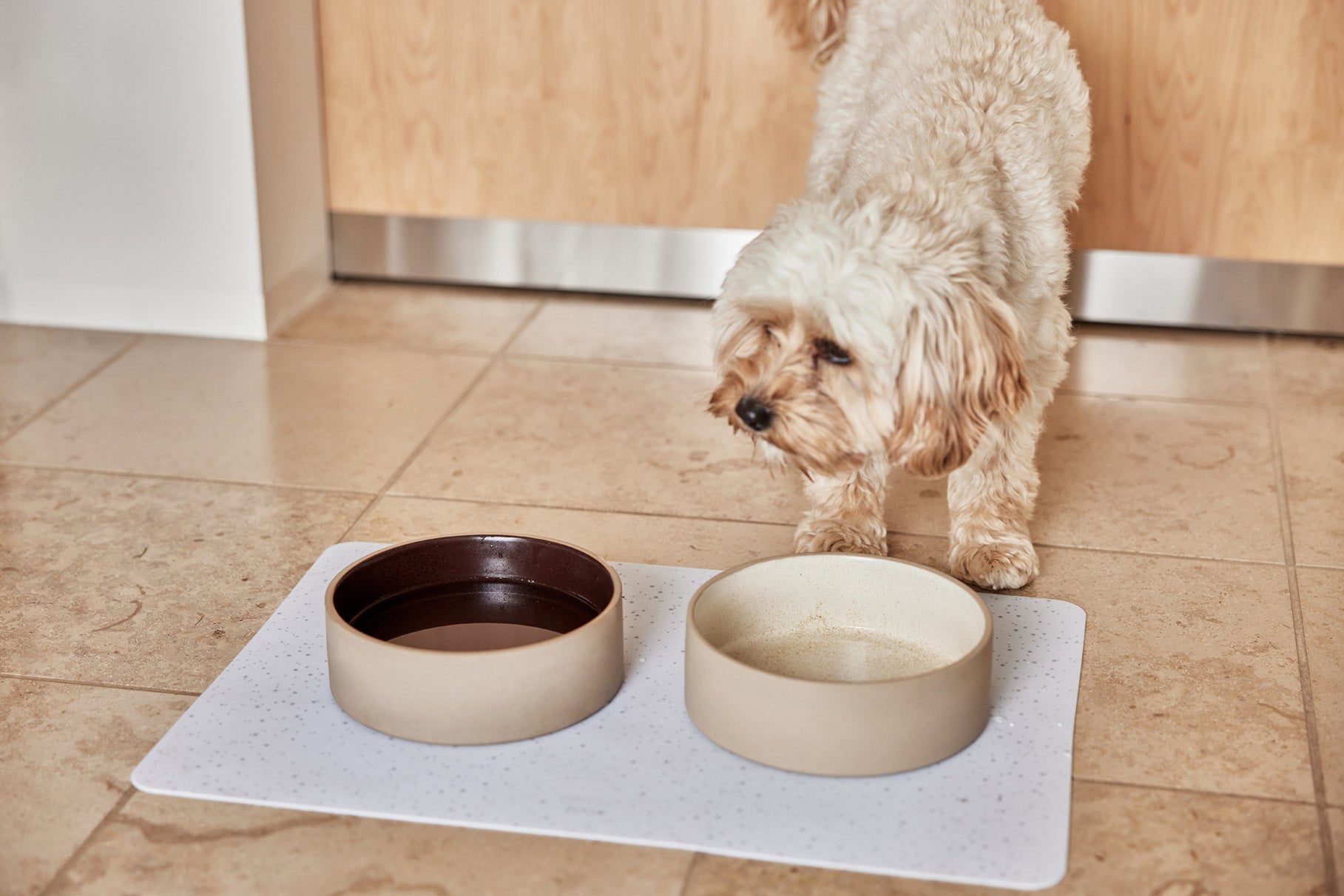 Bol pour chien Sia | Format moyen | Céramique | Style nordique minimaliste
