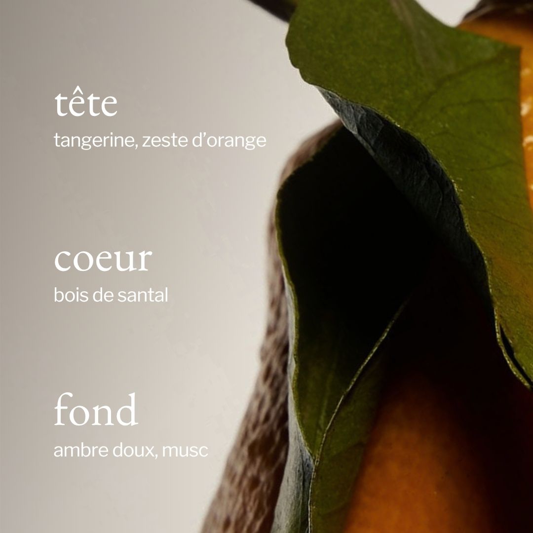 Bougie Tangerine, santal & ambre | Fragrance raffinée et enveloppante