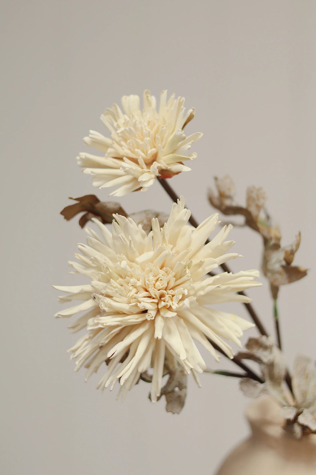 Tige de dahlia artificiel crème Real Touch avec pétales réalistes pour vase décoratif