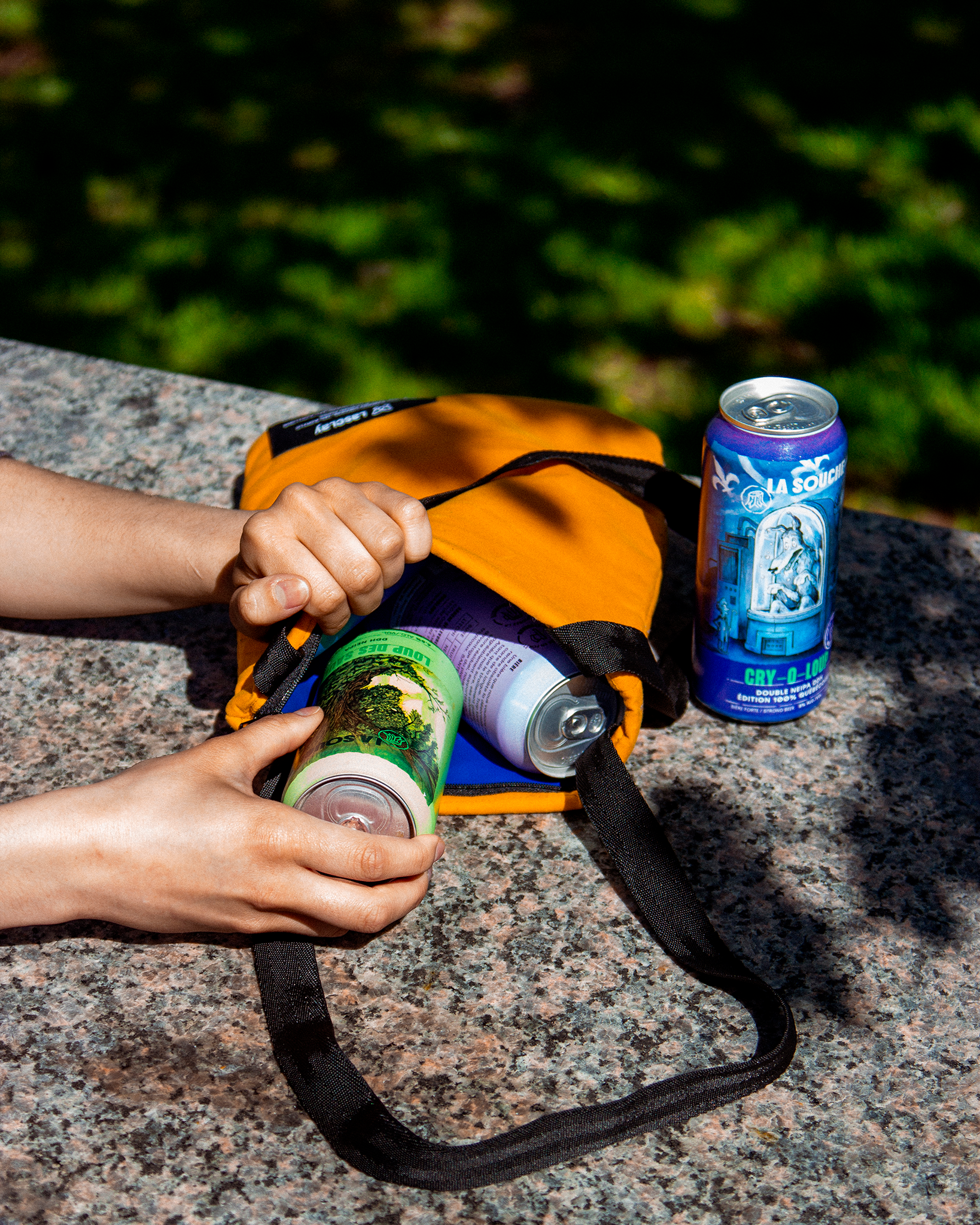 "Tote bag" style insulated cooler bag