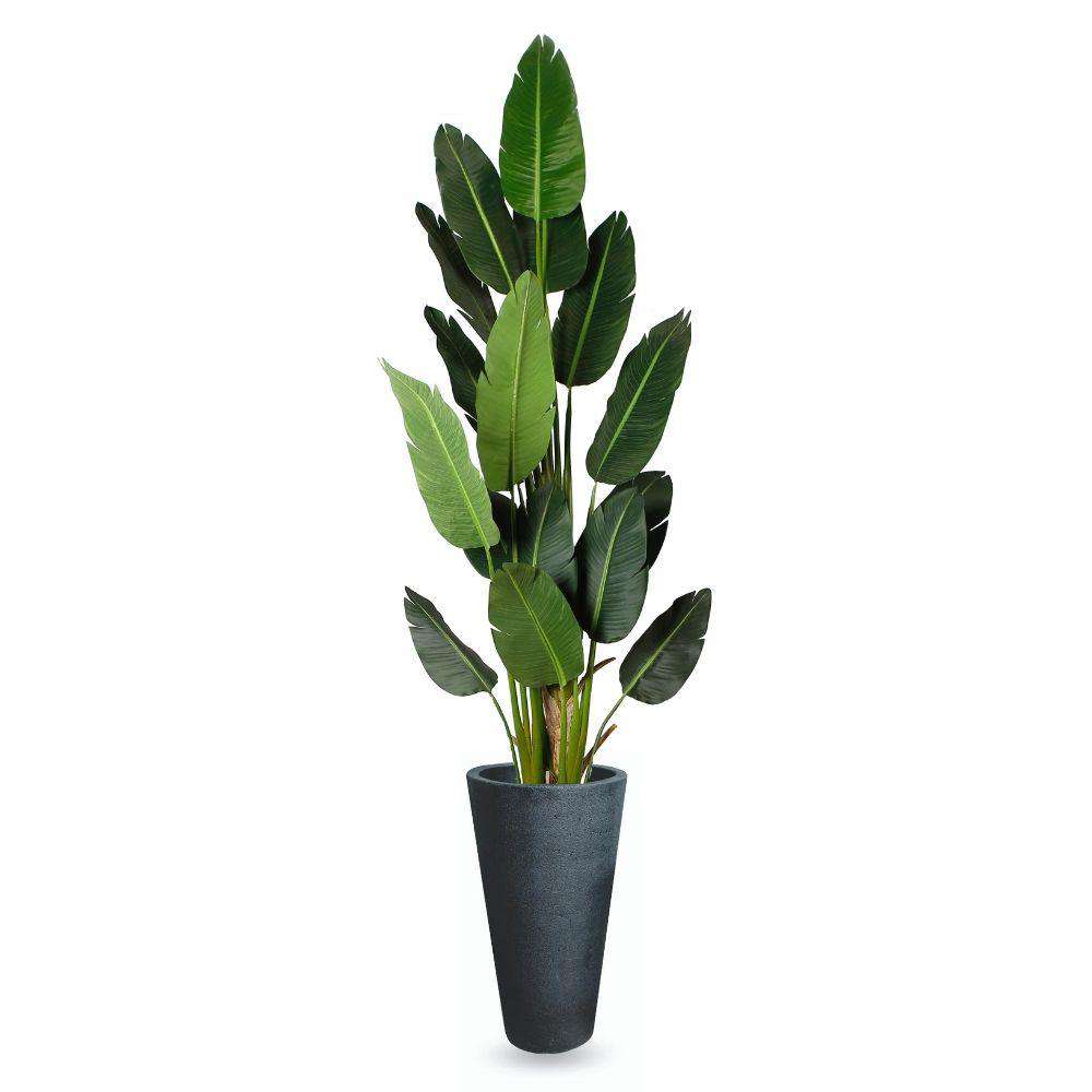 Cache-pot Vaneto en ciment noir moderne fond blanc