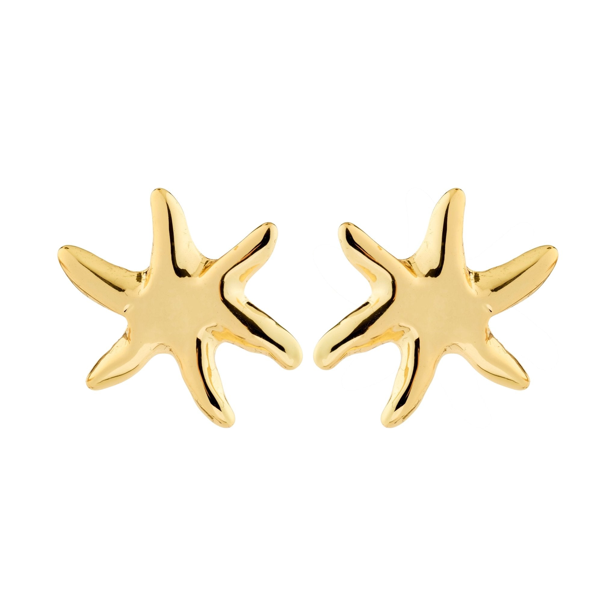 Boucles d’oreilles PRISM étoile de mer plaquées or