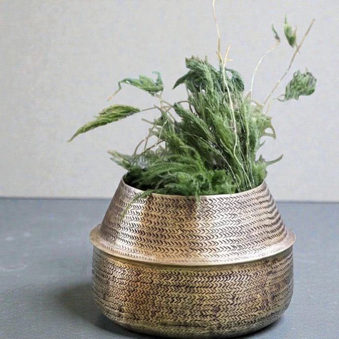 Cache - pot Aleta en laiton finition antique | Façonné à la main - Les Trouvailles de JustineBrass Planterartiplanto