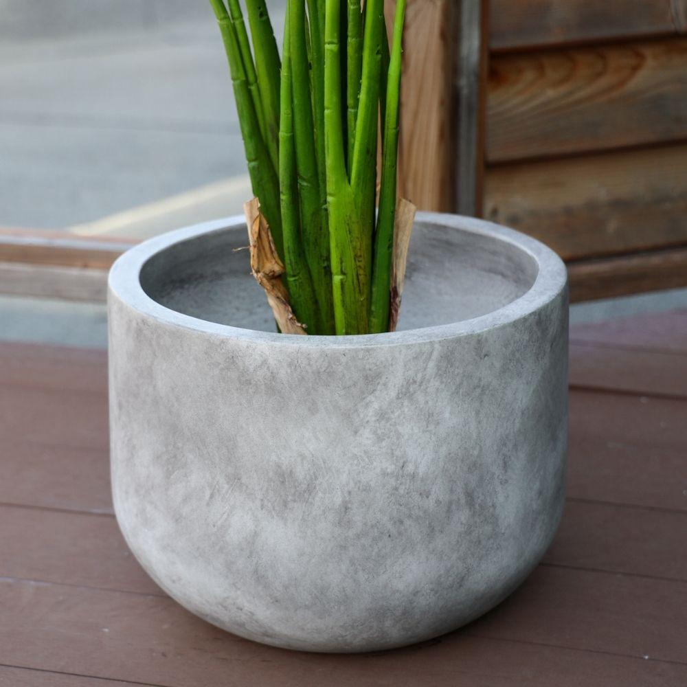 Cache-pot Berto en ciment design moderne avec plante