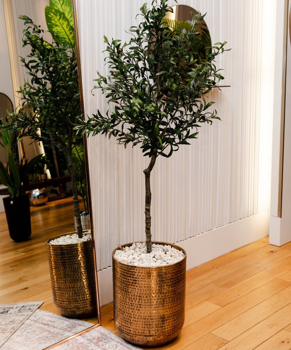 Cache-pot sur pied en laiton doré, pot cylindrique texturé avec plante
