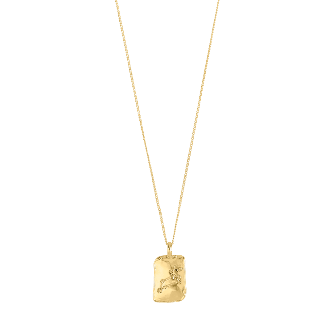 Collier pendentif Lion plaqué or, chaîne fine et breloque carrée gravée