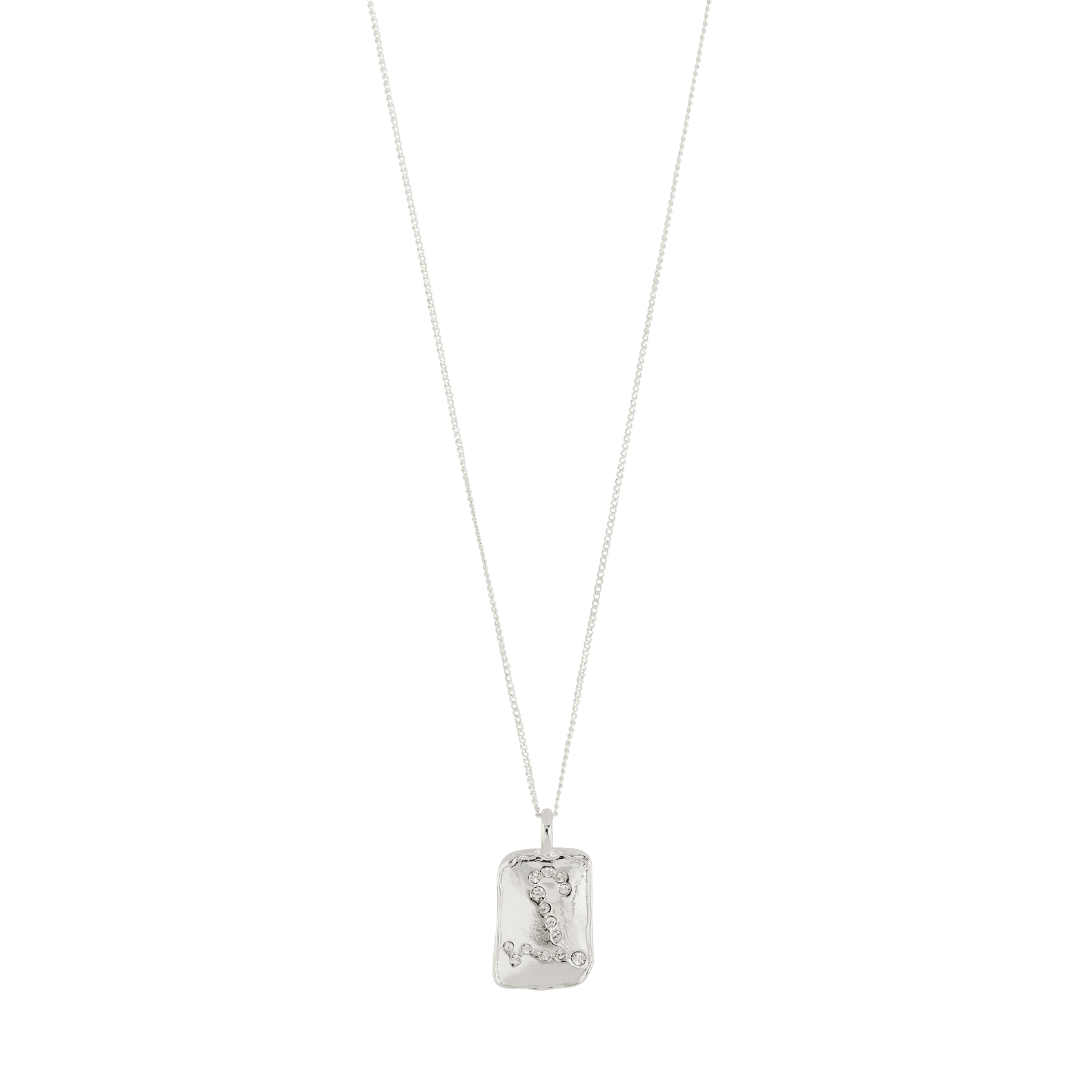 Collier poisson plaqué argent, pendentif gravé rectangulaire, chaîne fine.