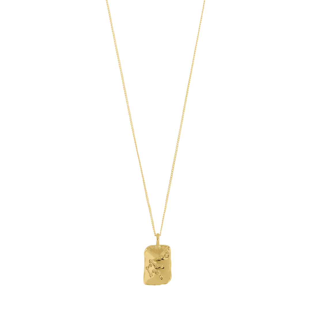 Collier pendentif Verseau plaqué or, pendentif rectangulaire gravé, chaîne fine