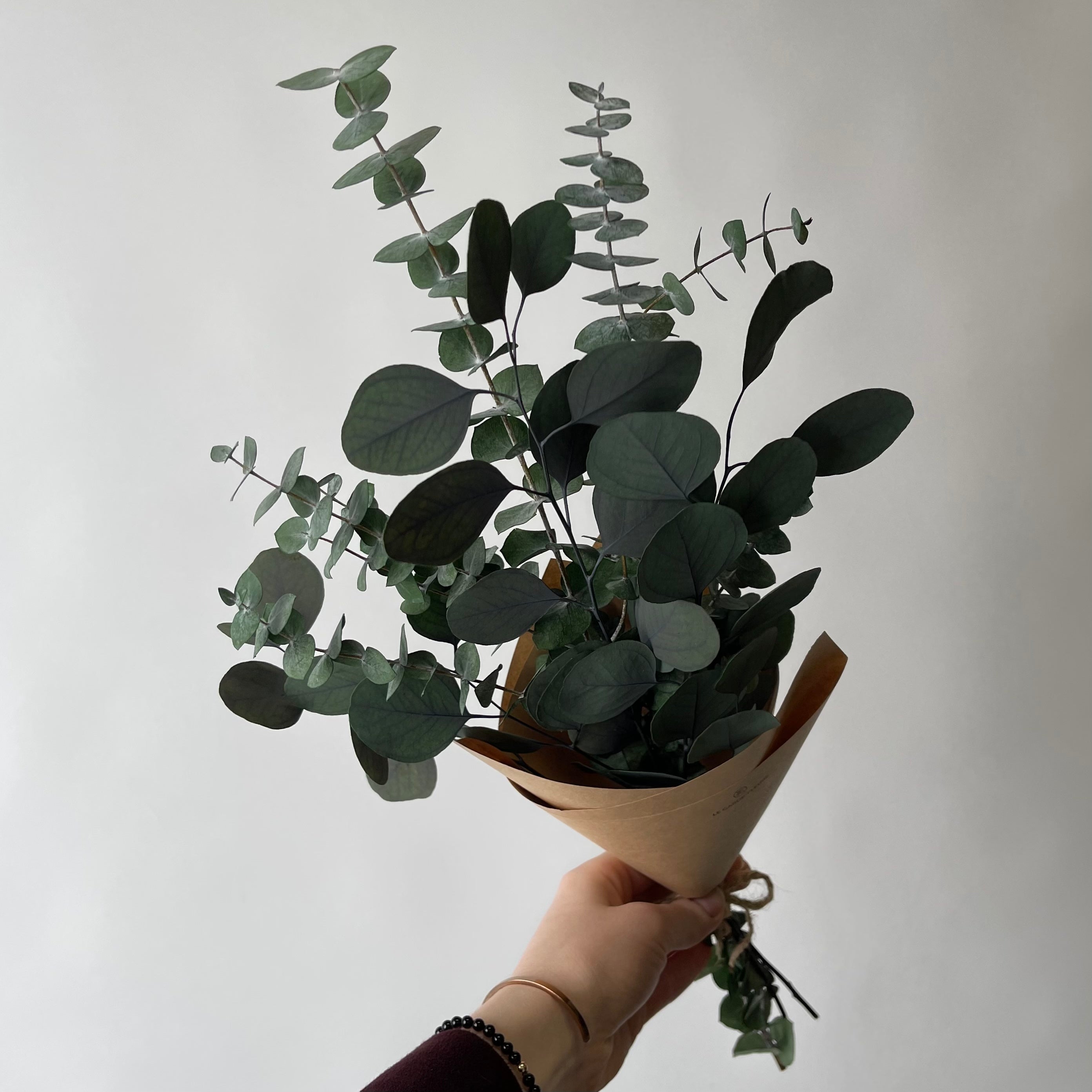 Duo d'eucalyptus