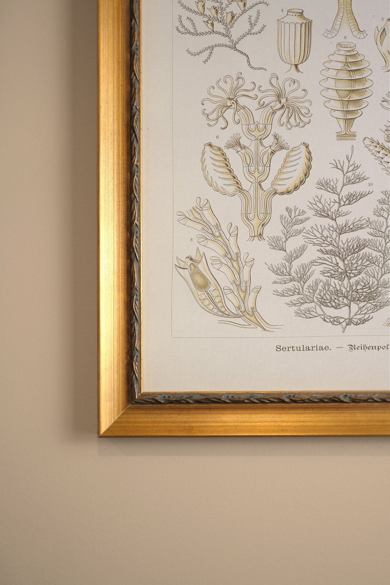 ESSENCE MARINE, CADRE VINTAGE OR - Les Trouvailles de JustineCadre VintageOleka Canvas9x12Or