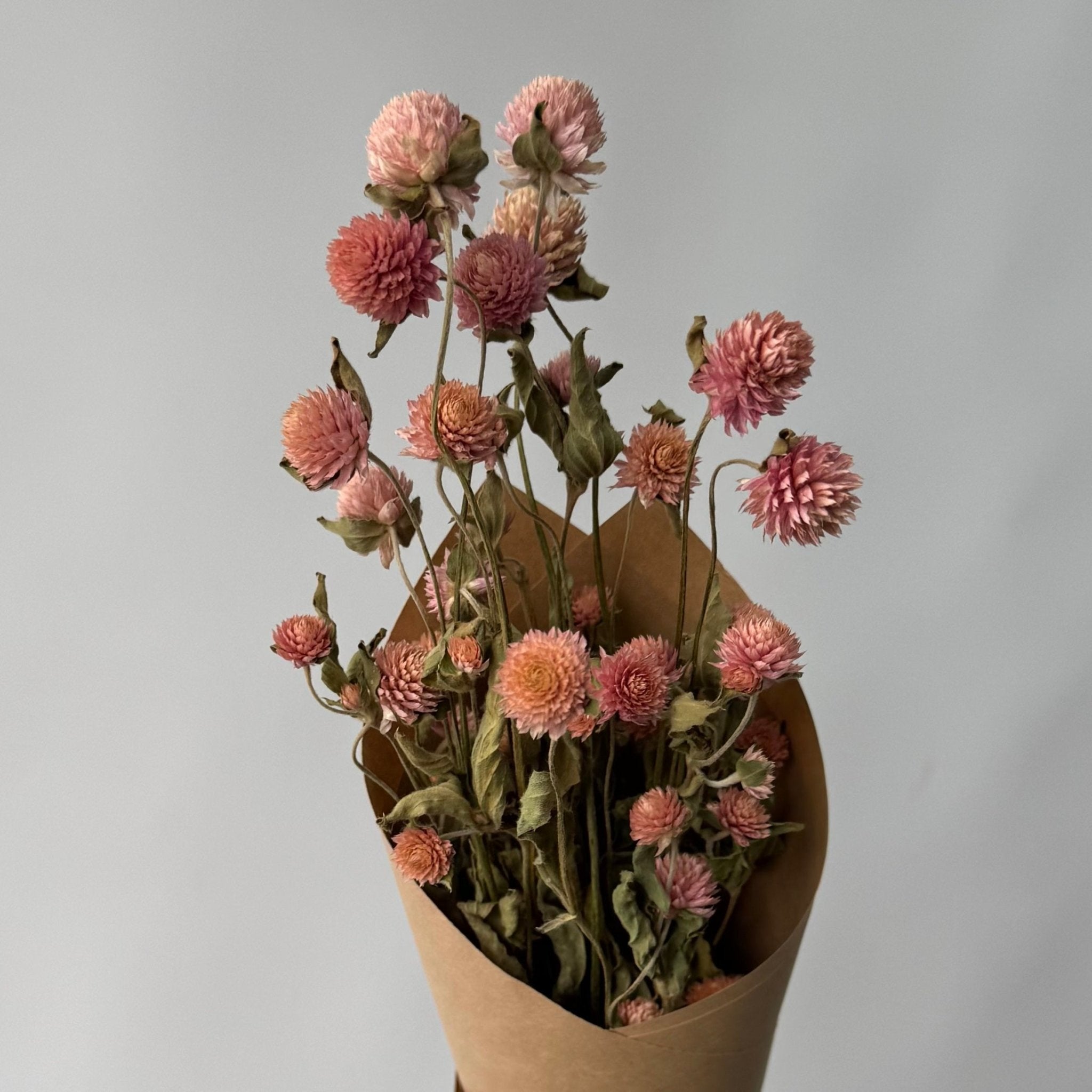 Gomphrenas | Fleurs séchées | Le Garde Fleurs - Les Trouvailles de JustineFleurs en vracLe garde - fleurs