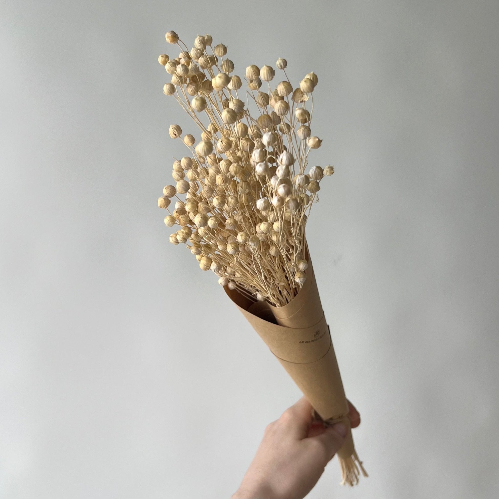 Linen | Fleurs séchées | Le Garde Fleurs - Les Trouvailles de JustineFleurs en vracLe garde - fleurs
