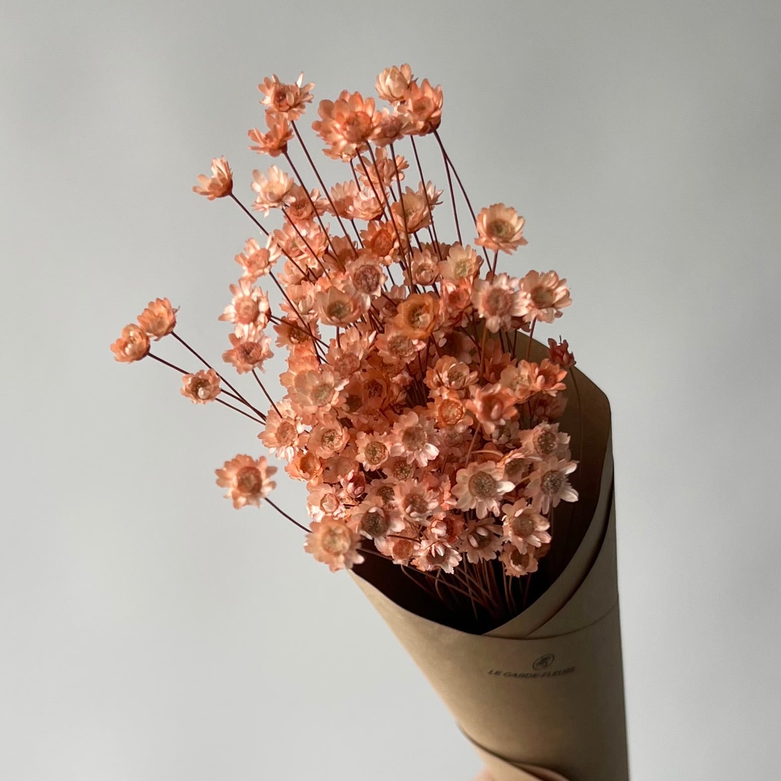 Marcella pêche | Fleurs séchées | Le Garde Fleurs - Les Trouvailles de JustineFleurs en vracLe garde - fleurs