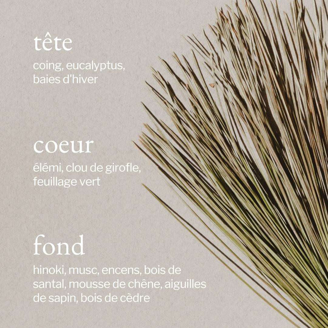 Bougie Écorce de pin & cèdre | Fragrance boisée et réconfortante | SOJA&CO