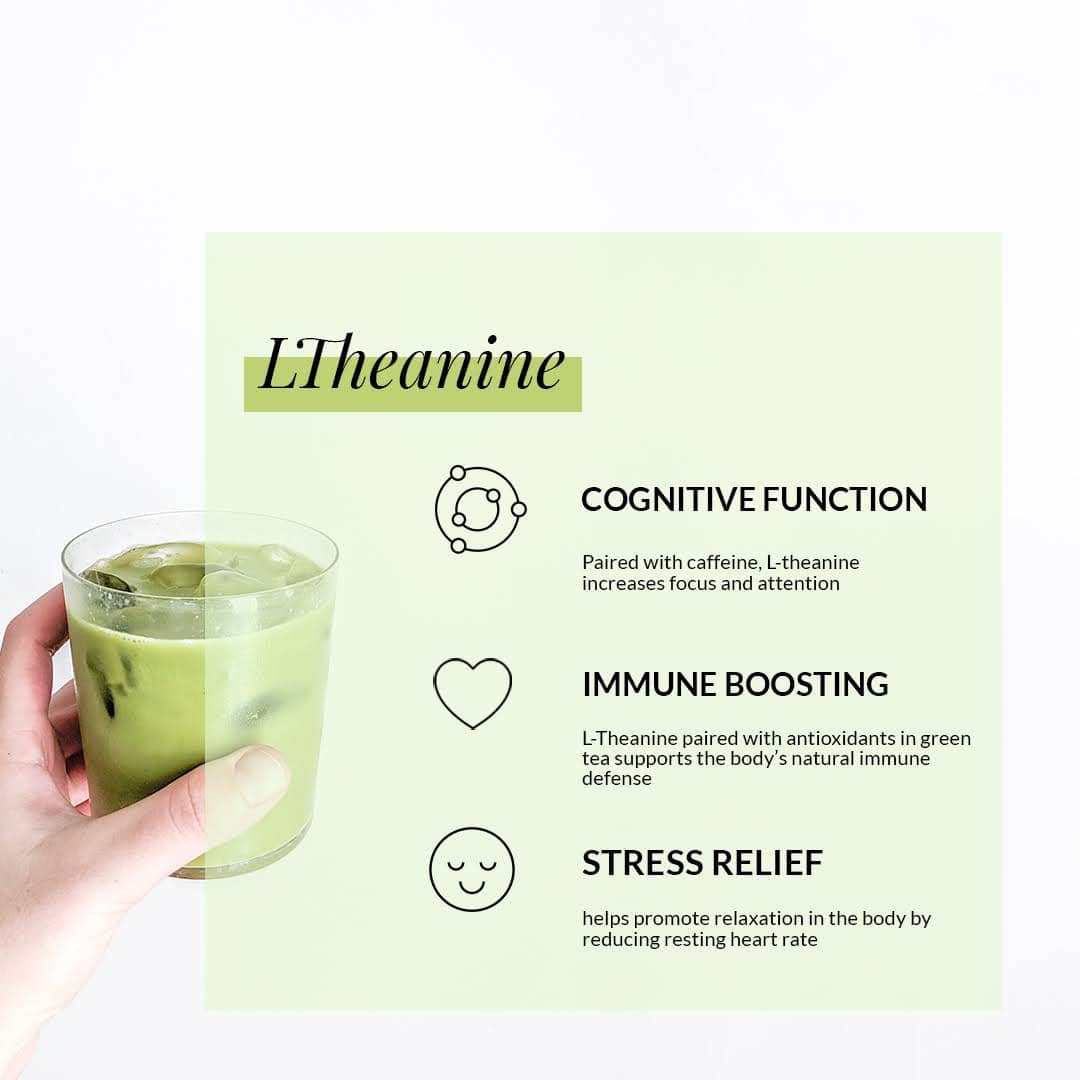 Thé vert Matcha grade A | Poudre de thé vert microbroyée | 30 g | Tealish