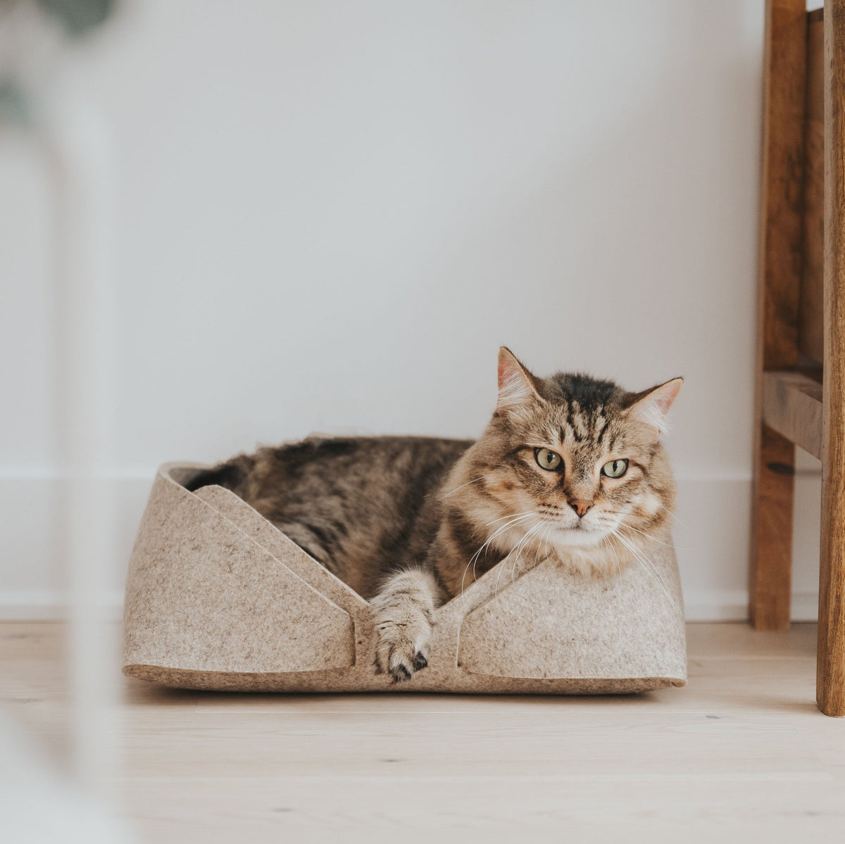 Panier en feutre de laine beige pour animal, chat tigré allongé à l’intérieur