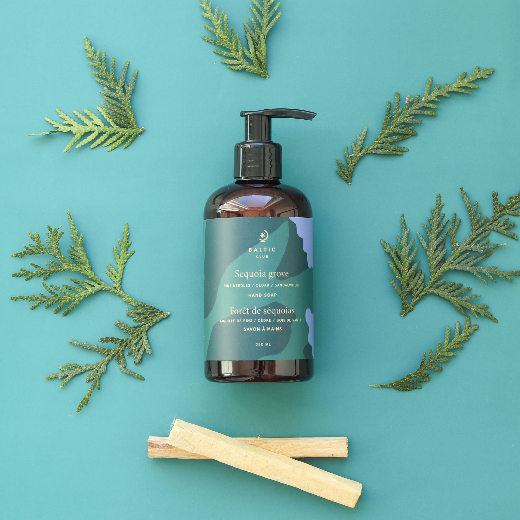 Savon à mains liquide | Forêt de Séquoias | Boisé & terreux |  250 ml