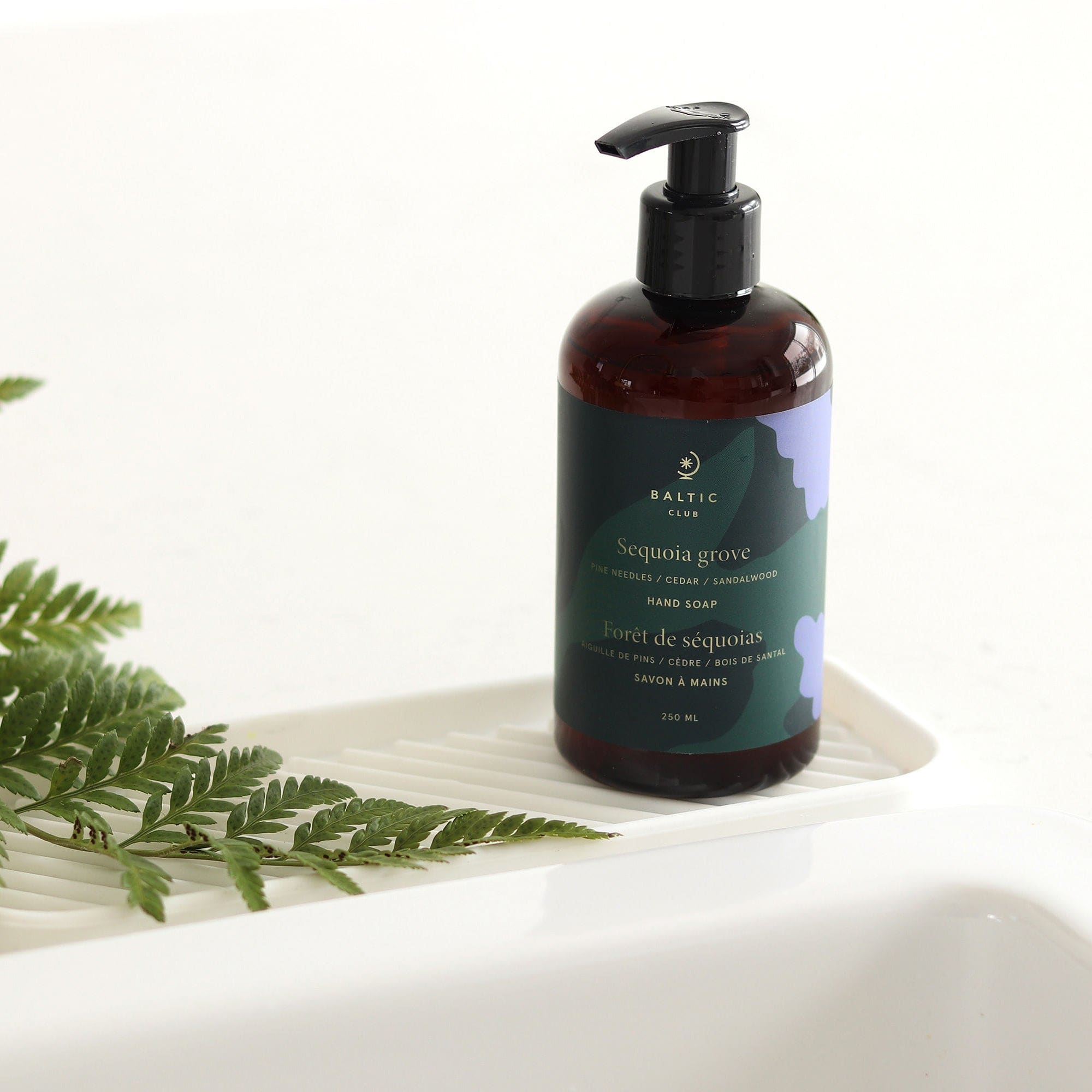 Savon à mains liquide | Forêt de Séquoias | Boisé & terreux |  250 ml