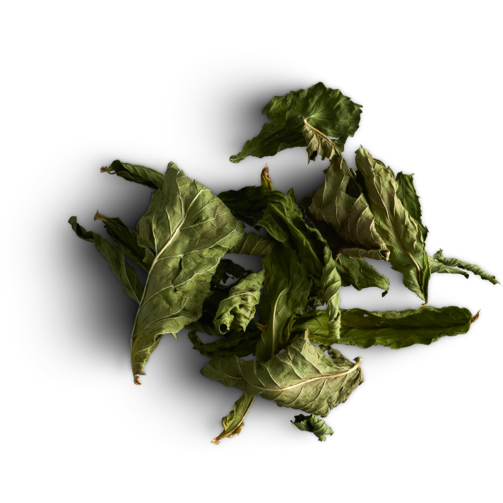 Tisane Inuit | Boîte découverte en bois | 35 sachets | Délice Boréal