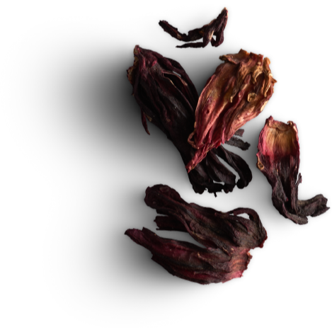 Tisane Inuit | Boîte découverte en bois | 35 sachets | Délice Boréal